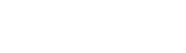 dyler.ai